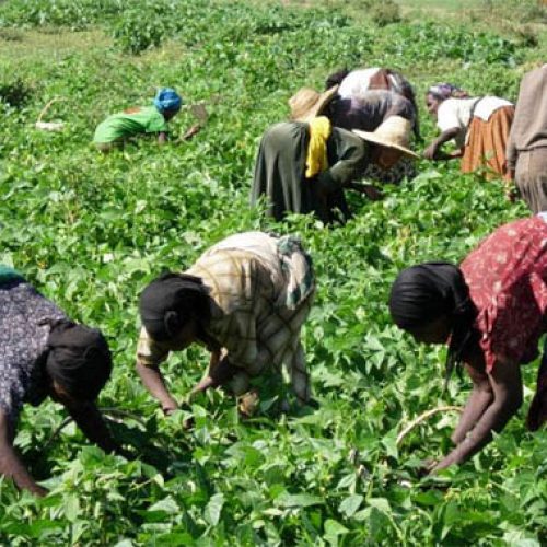 Integrated Community Development in Collaboration with Local Woredas